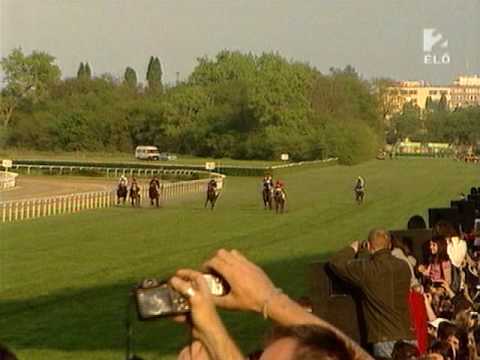 Overdose Futama a Kincsem Parkban 2009.04.19