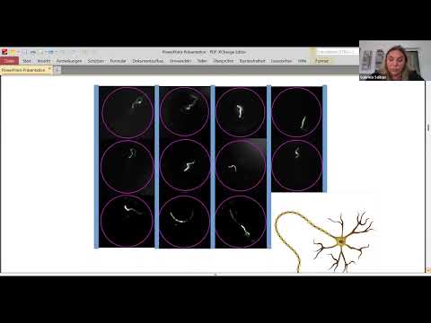 SCOG Virtual Lecture Series - Gabriela Salinas (University Medical Center, Göttingen)