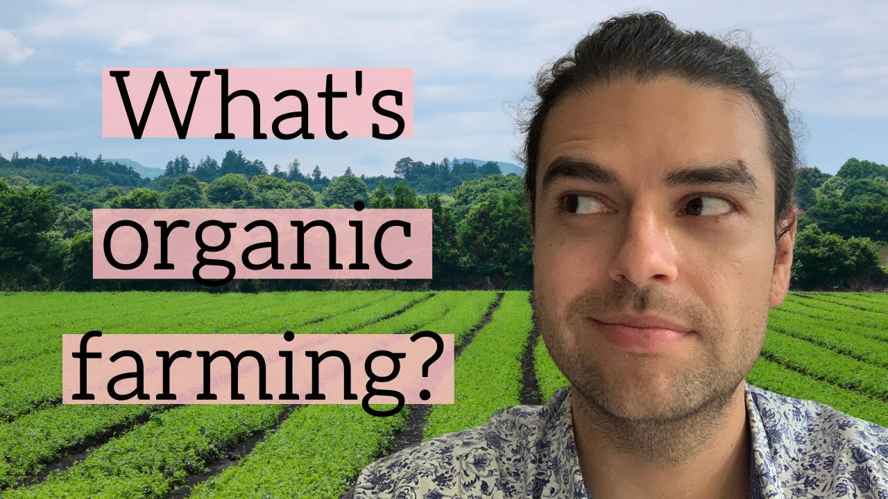 What is organic farming? A crash course on sustainable agriculture