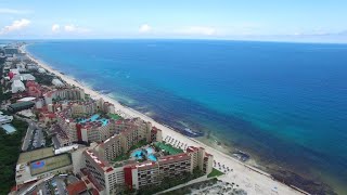 Mexico's seaweed invasion: Disaster or opportunity?
