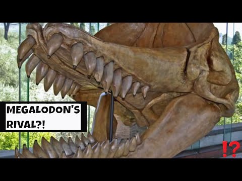 MEGALODON’S RIVAL?! LIVYATAN