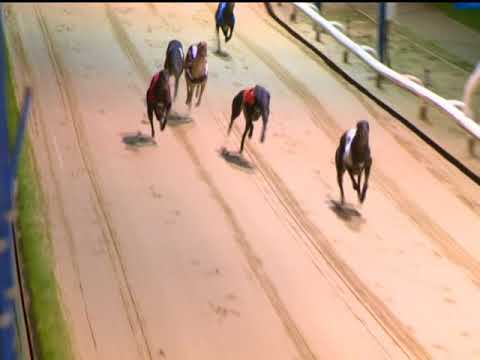 Romford 19/01/2018 “Mitch Millward Marathon Final”