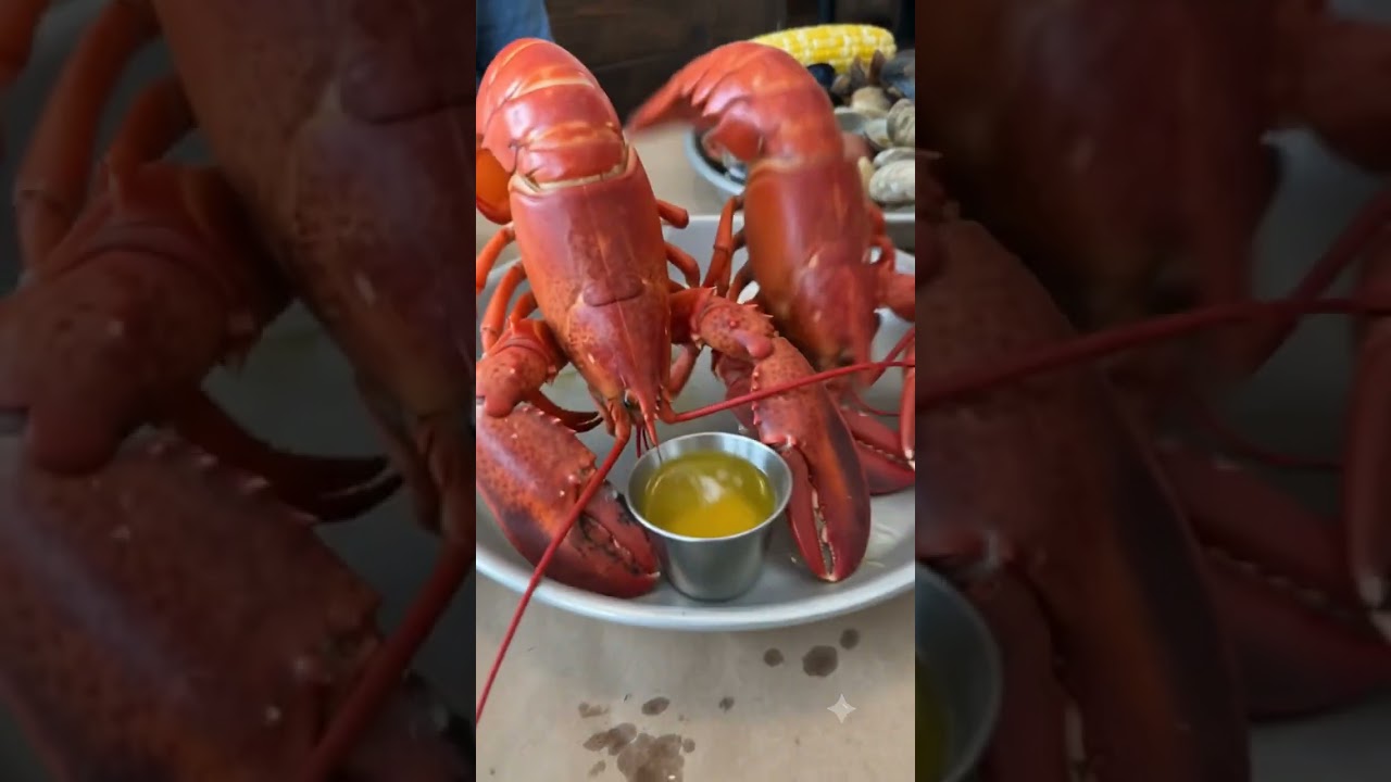Gemini Omni lobster video - YouTube