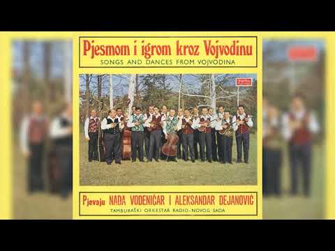 ALEKSANDAR DEJANOVIĆ - ŽABALJKA