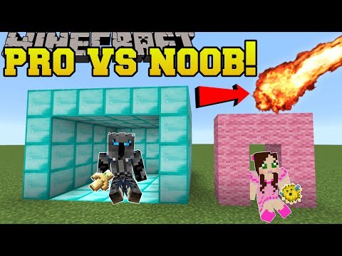 Minecraft: NOOB VS PRO!!! - SURVIVE THE DISASTERS! - Mini-Game