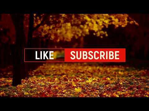 download lagu mp3 mp4 Kata Kata Penyemangat Kerja Untuk Pacar, download lagu Kata Kata Penyemangat Kerja Untuk Pacar gratis, unduh video klip Kata Kata Penyemangat Kerja Untuk Pacar