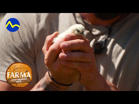 Farmári dostali kuriatka | FARMA 15