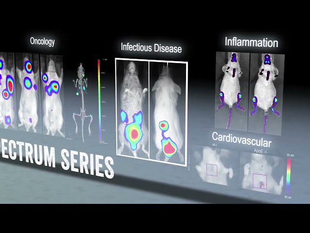 Microbiology and Microscopy Equipments - Zeiss Surgery Operating ...