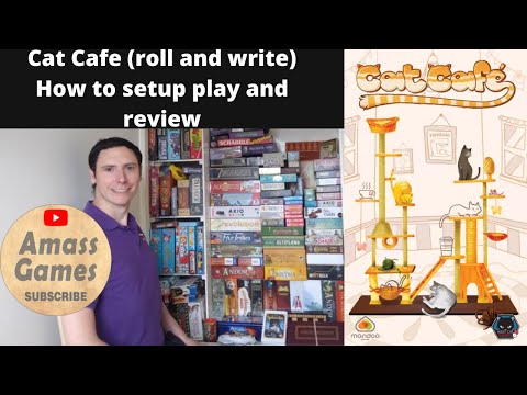 Cat café roll and write how to setup play and review 