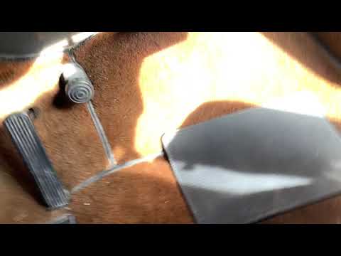 Thumbnail for 1948 Chevy Stylemaster Tudor by video, Car, vide, video i