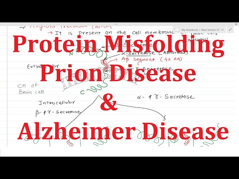 27. Protein Misfolding and Disorders | Alzheimer | Prion disease