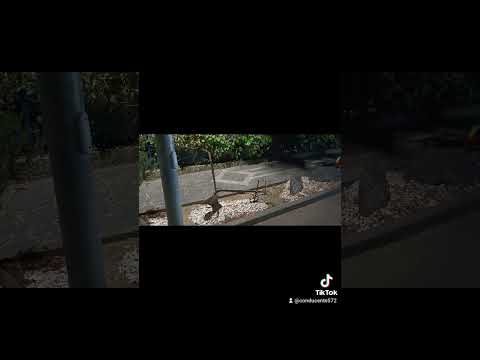 #ombrellonisceti #intervista #fluminimaggiore #aperattiviamoci #vecchiomulino