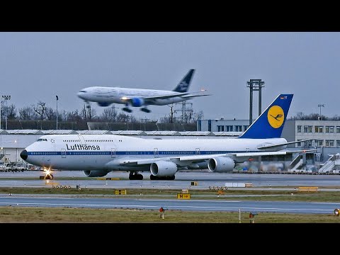 💯 Minutes in Frankfurt 🇩🇪 Main Airport with rain | 4K