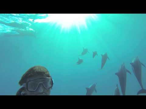 Mauritius Ocean Classic - Video Blog no 6 - Swimming with Dolphins