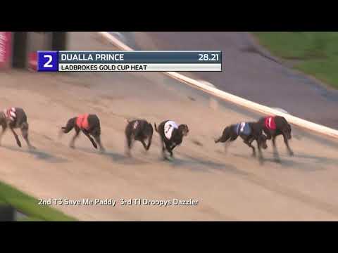 2021 LADBROKES GOLD CUP - HEAT 6 - T2 DUALLA PRINCE