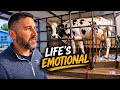 Milking Cows on Memorial Weekend 