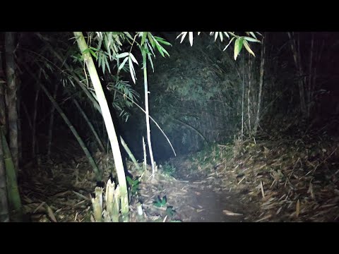 Live Misteri|| jangan kau tonton live ini sendirian