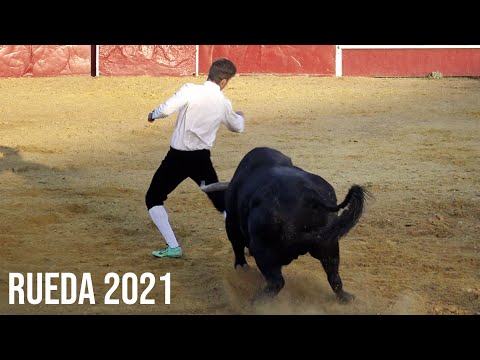 Gran Concurso de Cortes con Toros Bravos en Rueda 2021