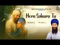 Mera Sahara Tu मेरा सहारा तूँ Bhai Harinder Singh Ji NKJ