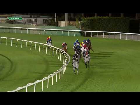 WATHBA STALLIONS CUP (FOR PRIVATE OWNERS) - ABU DHABI EQUESTRIAN CLUB | 09/02/2023