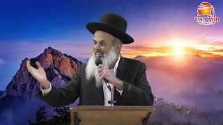 תרים את עצמך ותנצח - הרב עודד שרבי - תרומה תשפ''ו