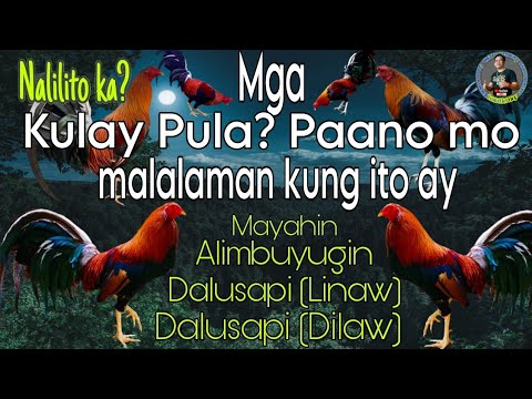 Paano malalaman kung ito ay Kulay Alimbuyugin, Dalusapi Linaw o Mayahin?