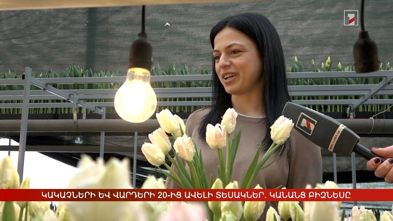 Կակաչների և վարդերի 20-ից ավելի տեսակներ. կանանց բիզնեսը