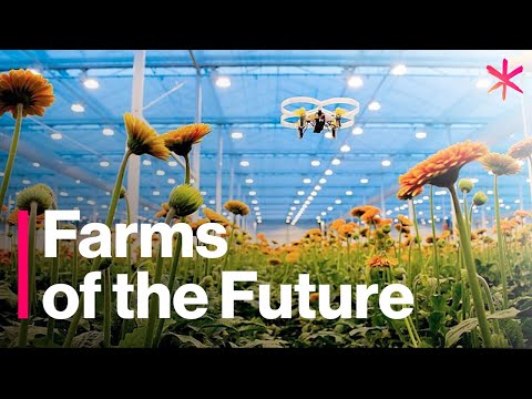 , title : 'The Futuristic Farms That Will Feed the World | Freethink | Future of Food'