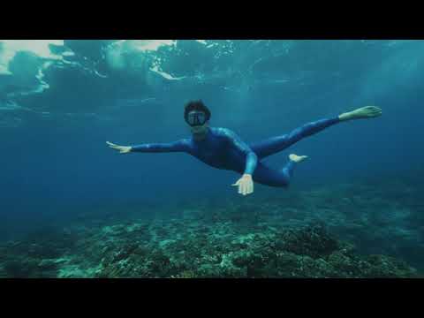 The Art of Freediving