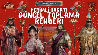 Age of Empires Mobile VERİMLİ HASAT! GÜNCEL TOPLAMA REHBERİ! (AoEM)