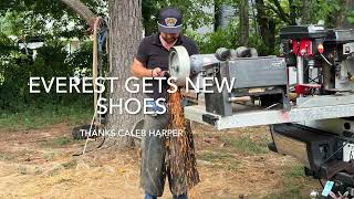 Episode 115 - Horse Gets Feet Trimmed And New Shoes