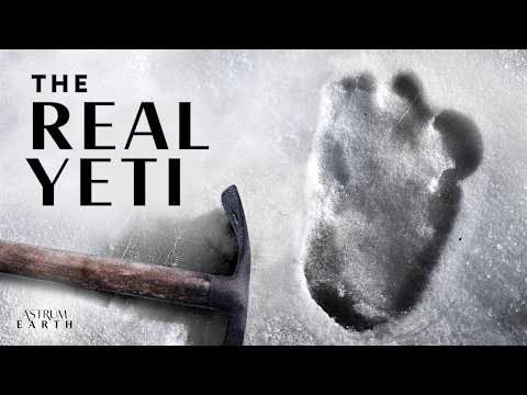 Scientists Finally Found the Truth About the Yeti