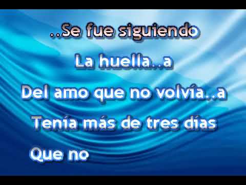 PEDRITO FERNANDEZ CORRIENTE Y CANELO KARAOKE