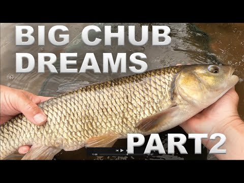 River Chub Fishing - Trotting Bread Flake - Part 2