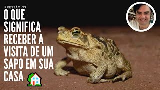 O Que Significa Encontrar Um Sapo No Quintal