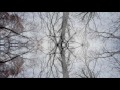 Mark Lanegan & Duke Garwood - Sphinx (Cover)