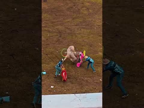 Primer dia de torros en la plaza Colonial de Parita.short