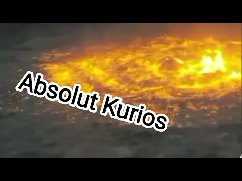 Interfox and KenorScio