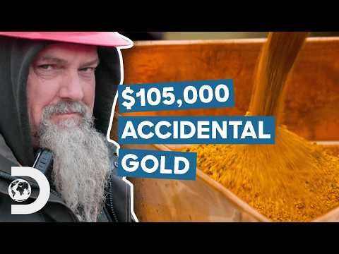 $105,000 Accidental Gold Found On First Day Of Season | Hoffman Family Gold