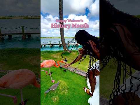 What do flamingos and women have in common? 🦩 #travel #solotravel #travelblogger #interestingfacts