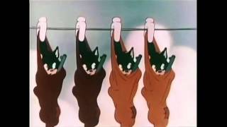 Jason Collett - Love You Babe [Official Video]