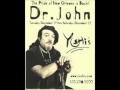 Dr John   How come my dog don´t Bark when you come around