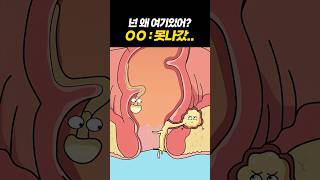 남은 그것의 엄청난 진화