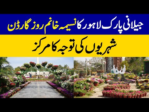 Jilani Park Lahore: Naseema Khan Rose Garden Becomes a City Attraction | Dawn News