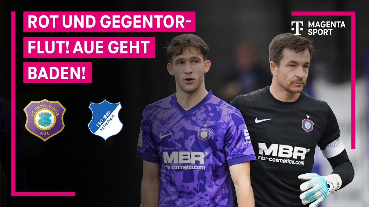 Erzgebirge Aue vs TSG Hoffenheim II U23 Highlights