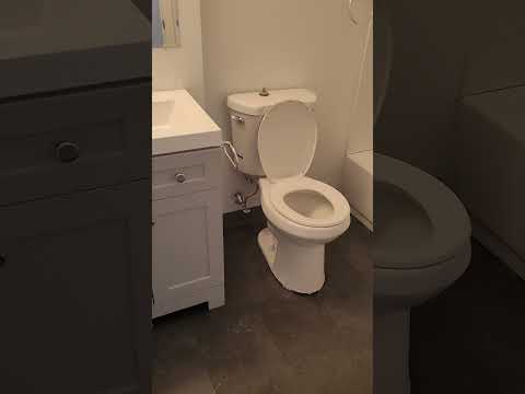 Fern Rock Court 02 - Video 2 of 2