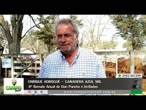 Enrique Adrogué - 4º Venta Anual de Don Pancho e invitados
