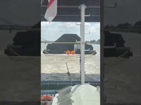 Thumbnail for Proses Penggolongan Kapal Batu Bara/TB.KARYA PACIFIC 2230/BG.PACIFIC STAR 8708#batubara#palembang