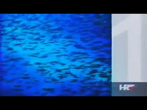 HRT 1 - Razno (2006.) (reupload u 720p60)