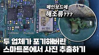 두 업체에서 포기한 스마트폰에 해조류가 보이는데요?? 편집 없이 데이터 추출과정 공개 합니다.